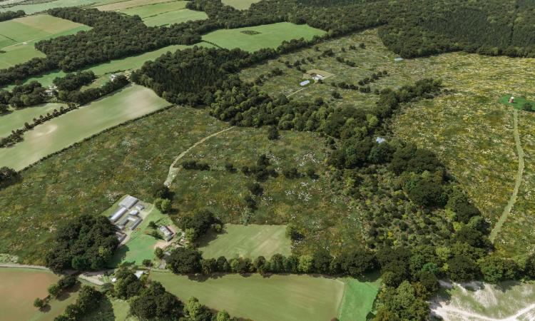 Halnaker Hill Natural Capital partners with Bidwells for one of the UK’s largest ever  Biodiversity Net Gain schemes